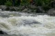 Thumbs/tn_Img_6635.jpg