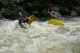 Thumbs/tn_Img_6677.jpg
