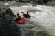Thumbs/tn_Img_6696.jpg