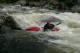 Thumbs/tn_Img_6697.jpg