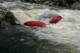 Thumbs/tn_Img_6700.jpg