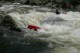 Thumbs/tn_Img_6702.jpg
