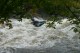 Thumbs/tn_Img_2954.jpg