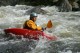 Thumbs/tn_Img_5237.jpg