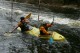 Thumbs/tn_Img_7462.jpg