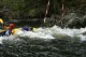 Thumbs/tn_Img_7600.jpg