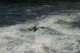 Thumbs/tn_Img_7687.jpg