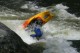 Thumbs/tn_Img_8416.jpg