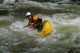 Thumbs/tn_Img_8495.jpg