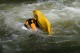 Thumbs/tn_Img_8496.jpg