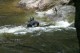 Thumbs/tn_Img_8558.jpg