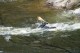Thumbs/tn_Img_8559.jpg