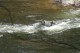 Thumbs/tn_Img_8560.jpg