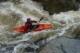 Thumbs/tn_Img_5961.jpg
