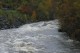 Thumbs/tn_Img_5228.jpg