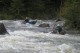 Thumbs/tn_Img_3668.jpg
