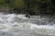 Thumbs/tn_Img_4381.jpg