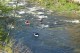 Thumbs/tn_Img_1852.jpg