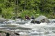 Thumbs/tn_Img_1854.jpg