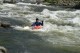 Thumbs/tn_Img_1988.jpg