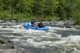 Thumbs/tn_Img_1994.jpg