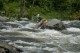 Thumbs/tn_Img_2108.jpg