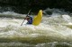Thumbs/tn_Img_2172.jpg