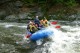 Thumbs/tn_Img_2269.jpg
