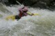 Thumbs/tn_Img_2305.jpg