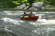 Thumbs/tn_Img_2349.jpg