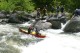 Thumbs/tn_Img_2354.jpg