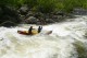 Thumbs/tn_Img_2357.jpg