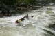 Thumbs/tn_Img_2358.jpg