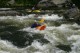 Thumbs/tn_Img_2384.jpg