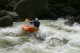 Thumbs/tn_Img_2391.jpg