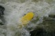 Thumbs/tn_Img_2427.jpg