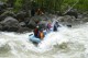 Thumbs/tn_Img_2462.jpg