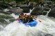 Thumbs/tn_Img_2486.jpg