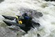 Thumbs/tn_Img_2532.jpg