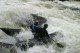 Thumbs/tn_Img_2533.jpg