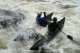 Thumbs/tn_Img_2535.jpg