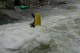 Thumbs/tn_Img_3082.jpg