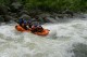 Thumbs/tn_Img_3175.jpg