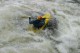Thumbs/tn_Img_3217.jpg