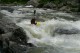 Thumbs/tn_Img_4011.jpg