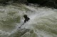 Thumbs/tn_Img_4050.jpg
