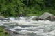 Thumbs/tn_Img_4109.jpg