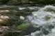 Thumbs/tn_Img_4176.jpg