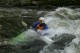 Thumbs/tn_Img_4190.jpg
