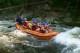 Thumbs/tn_Img_4226.jpg